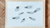 animation idea GIF by mezitlab