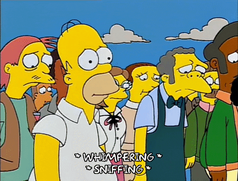homer simpson GIF