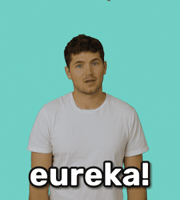 Chef Cooking GIF