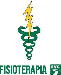 fvcoficial faculdade fisioterapia vale fisio Sticker