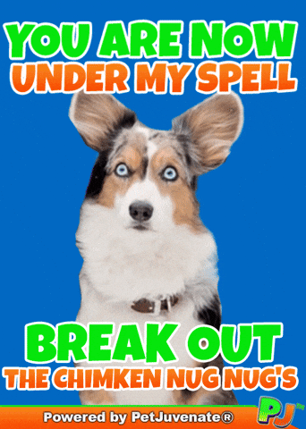 PetJuvenate petjuvenate henlo hooman fren love rescue dogs treatos and woofer for pupper GIF