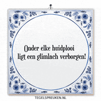 Humor Wijsheid GIF by Tegelspreuken.nl