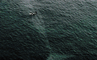 GIF by Center for Story-based Strategy 