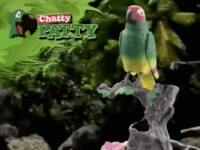 infomercial GIF by Andrea