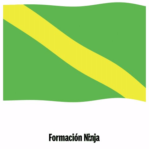 Las Palmas Flag GIF by Formación Ninja