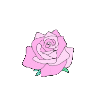 Pink Flower Sticker