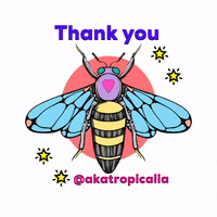 GIF by akatropicalia