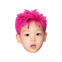 Choi Seunghyun Pink Sticker