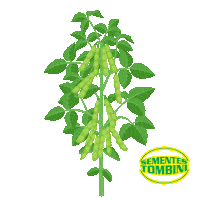 Agro Sticker by sementestombini