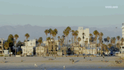 viceland GIF by Bong Appétit