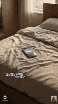 Phone Call Safety GIF