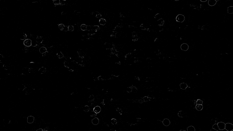 Black And White Vibes GIF by Soccer Mommy
