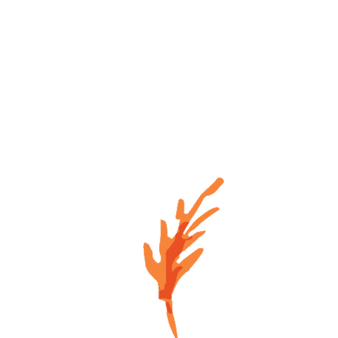 Plant Grow Sticker