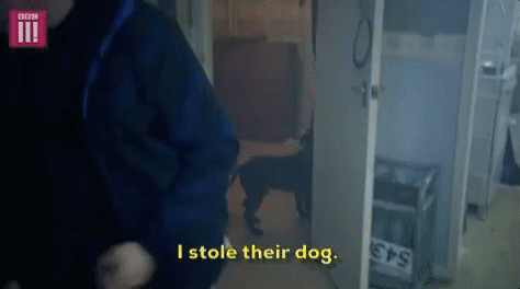 bbc giphyupload dog season 4 bbc GIF