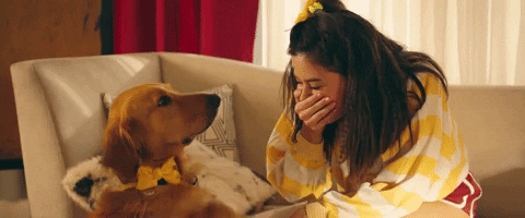 golden retriever love GIF by Marshmello