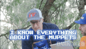 Muppets GIF by Dark Web