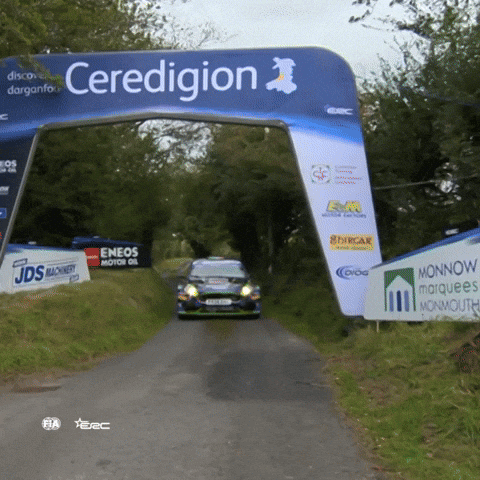 Ford Hello GIF by FIA European Rally Championship