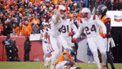 Football Celebration GIF by New England Patriots