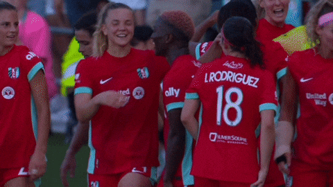 Goalcelebration GIF by National Women's Soccer League