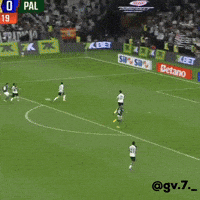 Verdao Vai Chorar GIF