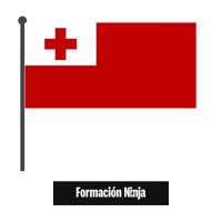 Flag Bandera Sticker by Formación Ninja