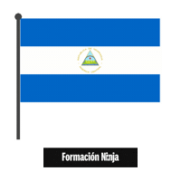 Flag Bandera Sticker by Formación Ninja