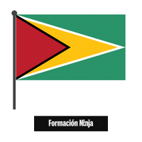 Flag Bandera Sticker by Formación Ninja