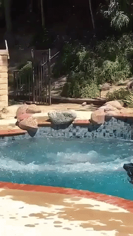 pool flip GIF