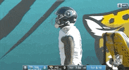 Regular Season Football GIF by NFL