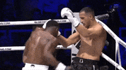 punch matrix GIF by GLORY Kickboxing
