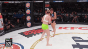 fight mma GIF by Bellator