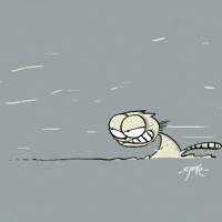 Wind Storm Cat GIF by marko
