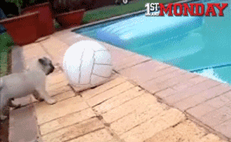 GIF by FirstAndMonday
