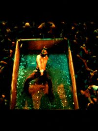 Lion Paradise GIF