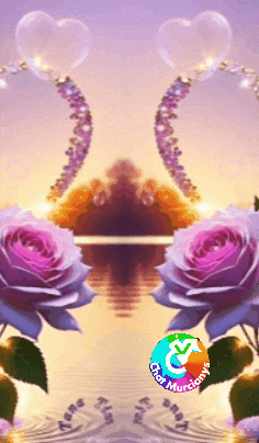 Feliz Amigos GIF by Murcianys LLC