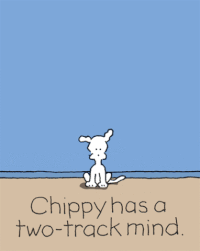 chippythedog chippythedog GIF