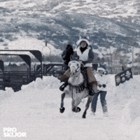 Horse Skiing GIF by PROSKIJOR