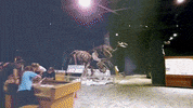 science center education GIF by visitorlando