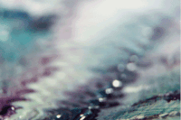 mezitlab colors paint focus macro GIF