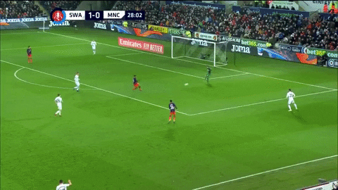 swansea GIF by nss sports