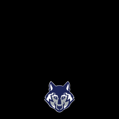 sfes giphygifmaker gowolves stfrancis sfes GIF