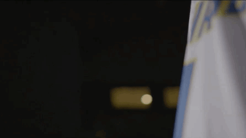 GIF by Delaware Blue Hens