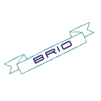 BTC_BRIO fitness banner neworleans physicaltherapy Sticker