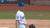 Happy Major League Baseball GIF by New York Mets