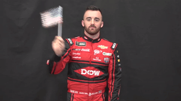 4th of july usa GIF by Richard Childress Racing