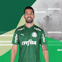 Puma Libertadores GIF by SE Palmeiras