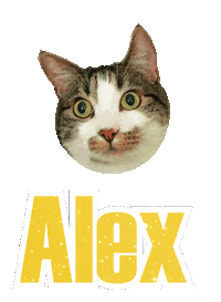 Cat Alex Sticker