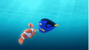 Finding Dory Disney GIF by Disney/Pixar's Finding Dory