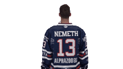 Ice Hockey Sport Sticker by Fehervar AV19
