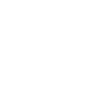 bird_spective star sun light sky Sticker